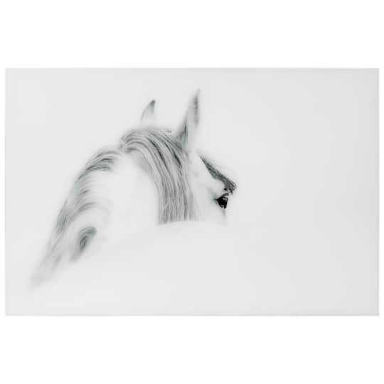 Empire Art Direct Vetro De Arte 48" x 32" Blanco Mare Horse Frameless Free Floating Printed Tempered Glass Wall Art